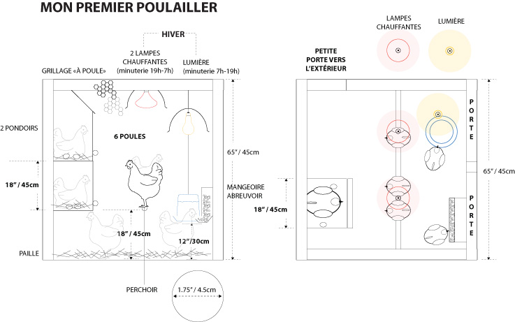 plan poulailler isole
